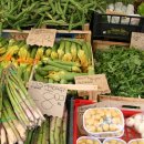 Open market on Campo de fiori (photo:: Sour C. Efabric)
